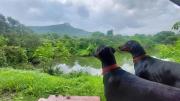 Top Khalapur