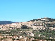 Top Cortona