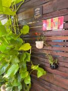 Top Fernando de Noronha