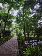 Top Lomas de San Marcelino