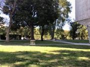 Top Marseille Top Marseille