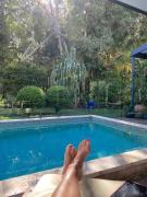 Absolute Beach Front Home -Dogs, Surf, Relax, Bush