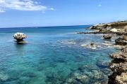 Top Paralimni