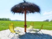 Top Zdonia Top Zdonia