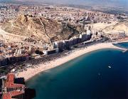 Top Alicante