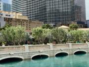 Top Las Vegas