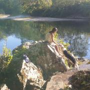 Top Bode