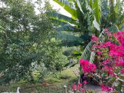 Top Thiviers Top Thiviers