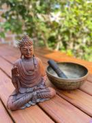 Top Pichidangui Top Pichidangui