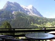 Top Grindelwald