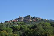 Top Borgo a Buggiano