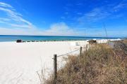 Top Panama City Beach