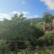 Top Ribeira Brava