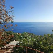 Top Ribeira Brava