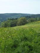 Top Wald-Michelbach