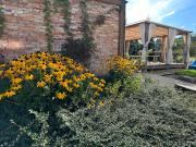 Top Krzeszowice Top Krzeszowice