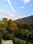 Top Borso del Grappa