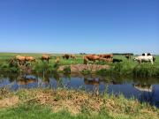 Iselmarpleats Comfortabele Studio met badkamer
