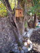 Top Pinilla del Valle