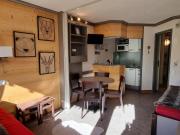 Studio cosy avec accès direct pistes, vue piste, animaux admis - FR-1-181-2563