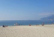 Top Salerno