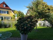 Top Überlingen