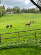 Top Münsing am Starnberger See