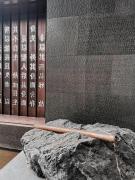 Top Wudangshan