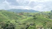 Top Vagamon