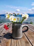 Top Gollenshausen am Chiemsee