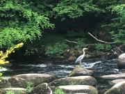 Sharp Tor Riverside Studio Apartment