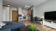 Apartament Lublin Centrum "Singapura cat"