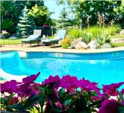 Top Pittsford Top Pittsford