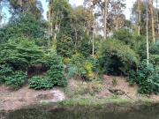 Top Madikeri
