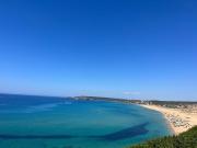 Pommy House Pommy House