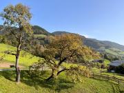 Top Piesendorf
