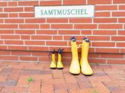 Holiday Home Samtmuschel by Interhome