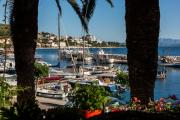 Top Podgora