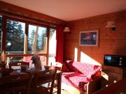 Appartement 6 personnes près des pistes, Chamrousse - FR-1-549-13