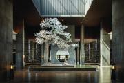 Top Qufu