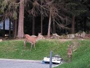 Top Szklarska Poręba Top Szklarska Poręba