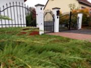 Top Sárospatak Top Sárospatak