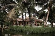 Top Alleppey