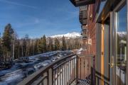Top Telluride