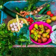 Top Póvoa de Lanhoso