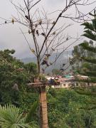 Apartamento portal del prado