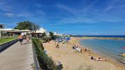 Top Protaras