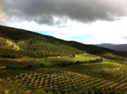 Casa Dehesa San Cristóbal, Jaén