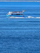 First line Seaport Puerto Rico 9