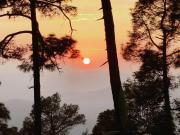 Top Almora